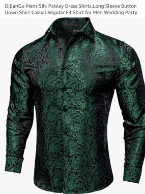 DibanGu Green Silk Paisley Button-Down Shirt